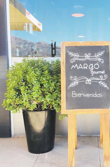 Proyecto Maceteros Autorregantes para Restaurante Margo