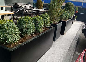 Proyecto Maceteros Autorregantes para Restaurante Margo