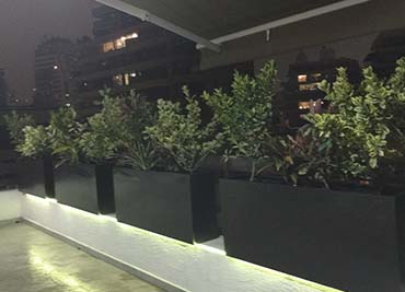 Proyectos en Edifico Tascon con maceteros de Fiberglass